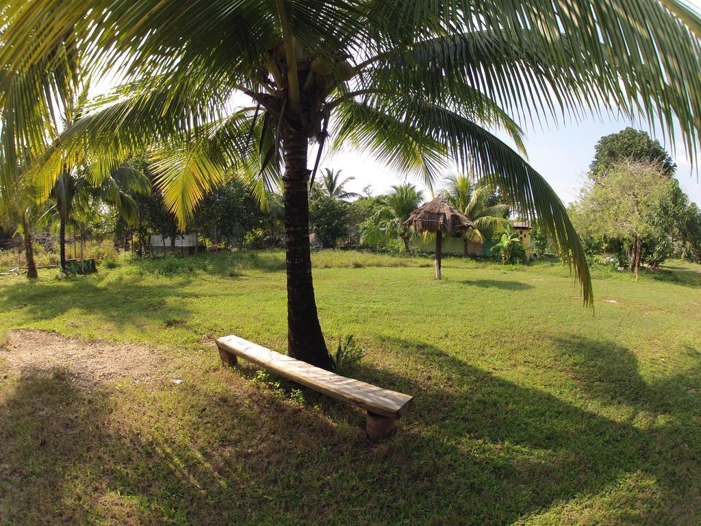 Rancho Alvarez & Hostel Cozumel