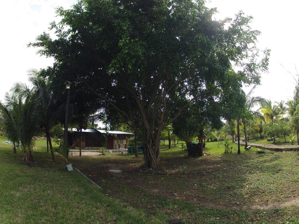Rancho Alvarez & Hostel Cozumel