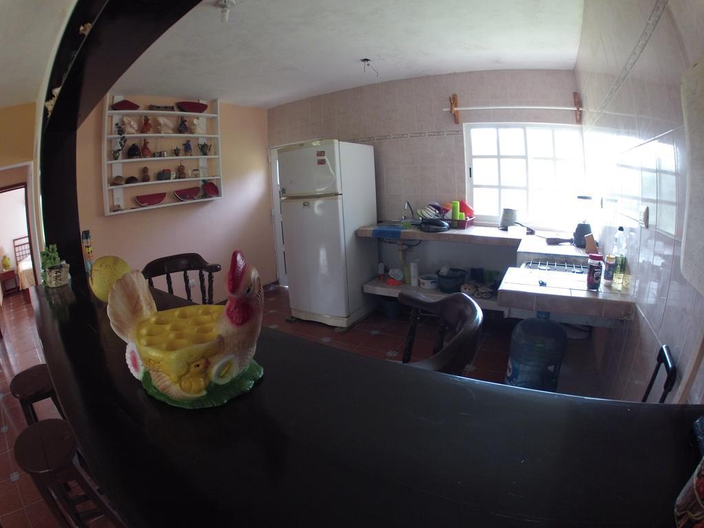 Rancho Alvarez & Hostel Cozumel